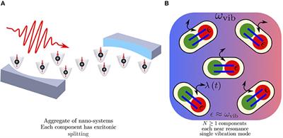 Pulsed Generation of Quantum Coherences and Non-classicality in Light-Matter Systems